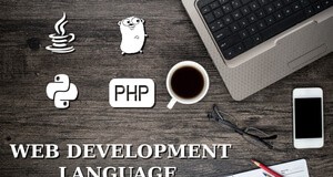 web, development, developer, java, php, Go, golang, python