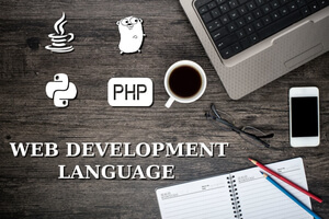 web, development, developer, java, php, Go, golang, python