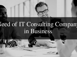 IT, Consulting, Consultant, Project, Job