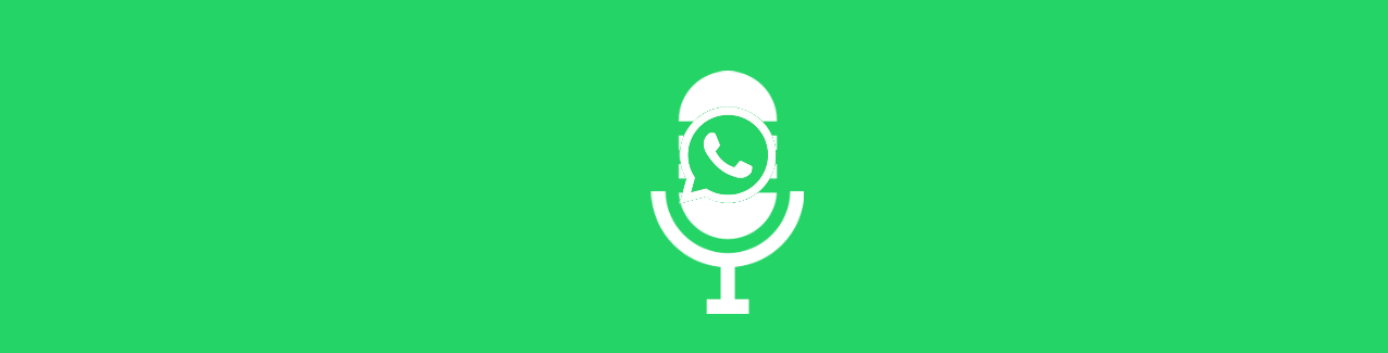 whatsapp, Update, group, voice chat, video chat