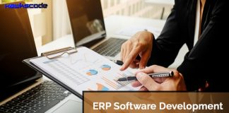 ERP Software Development and Market in 2018-2025