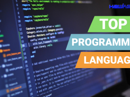 Top Five Programming Languages of the World