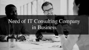 IT, Consulting, Consultant, Project, Job