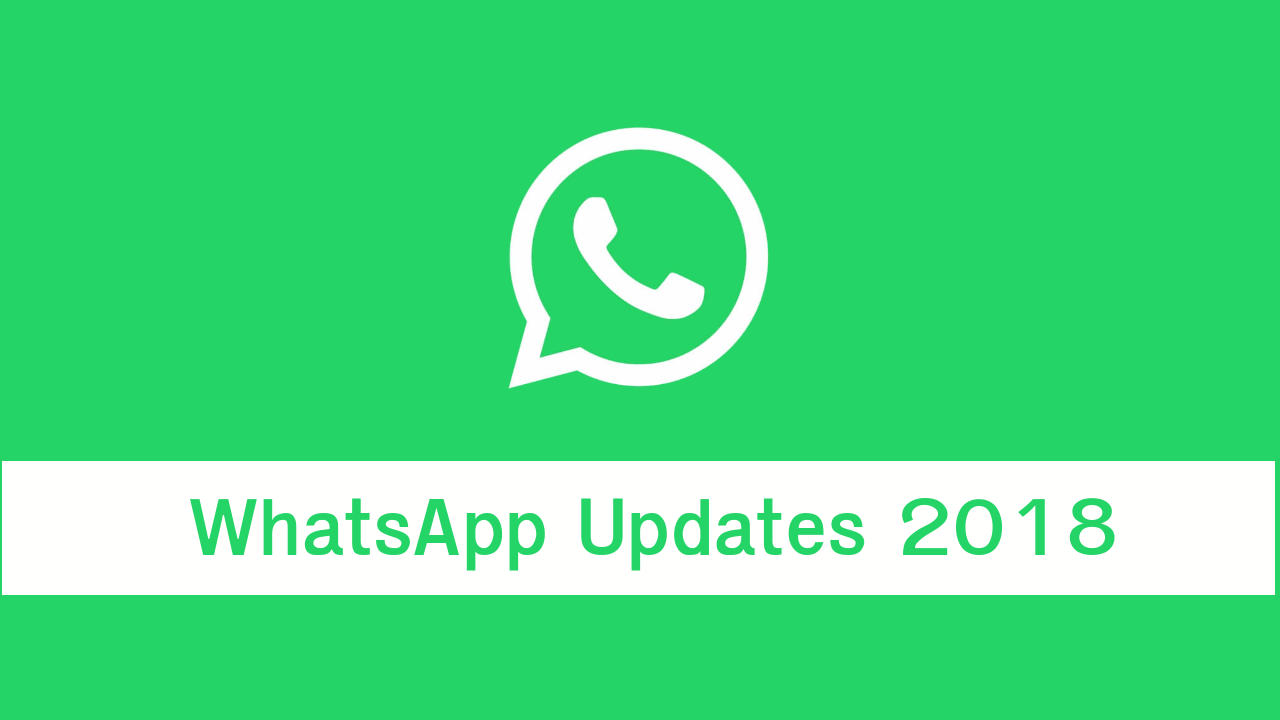 whatsapp, Update, group, voice chat, video chat