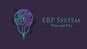 ERP, Custom Software, Software, Business