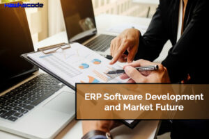 ERP Software Development and Market in 2018-2025